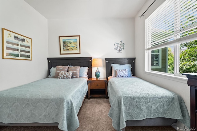 4501 Nelson Rd Unit 2201, Longmont, CO 80503 - bedroom with carpet floors