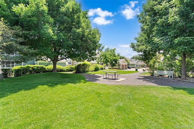 4501 Nelson Rd Unit 2201, Longmont, CO 80503 - view of green lawn