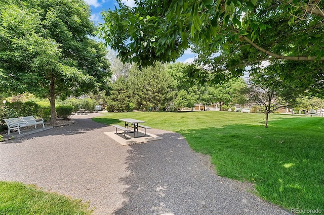 4501 Nelson Rd Unit 2201, Longmont, CO 80503 - view of home's community with a yard and a patio