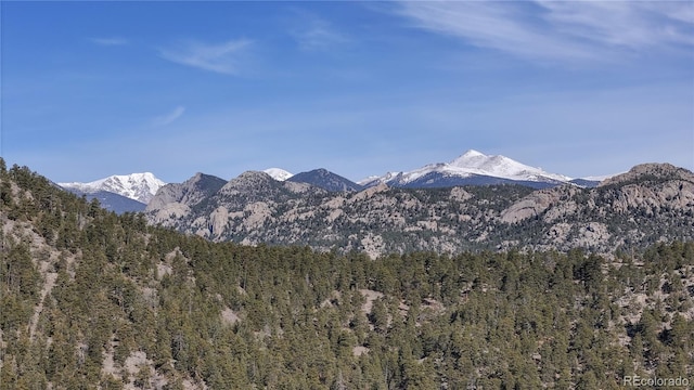 7 Rock Canyon Rd, Drake, CO 80515 - mountain view featuring a wooded view
