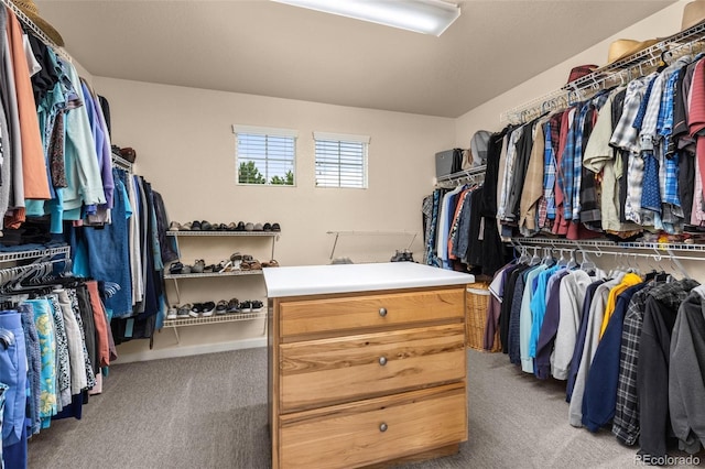 16120 E 119th Ave, Commerce City, CO 80022 - photo 28