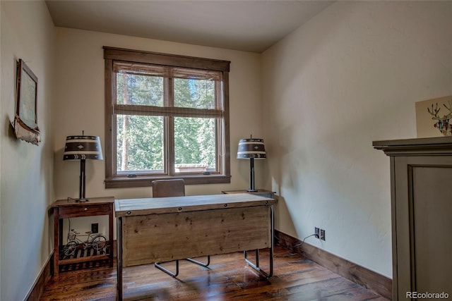 office with baseboards and hardwood / wood-style floors