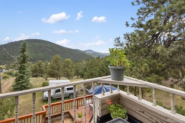 410 Lee Ave, Victor, CO 80860 - photo 35