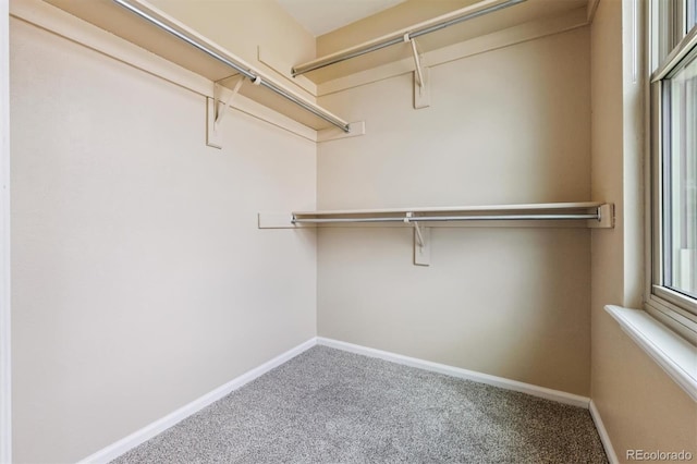 8671 W Star Cir, Littleton, CO 80128 - photo 17