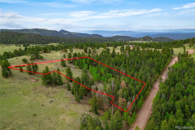 333 Stratton Cir, Cripple Creek, CO 80813