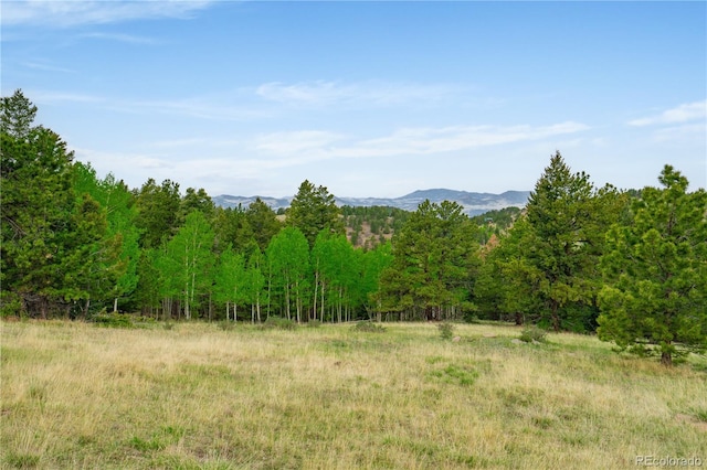 333 Stratton Cir, Cripple Creek, CO 80813