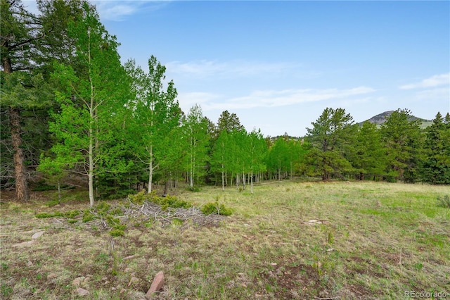 333 Stratton Cir, Cripple Creek, CO 80813