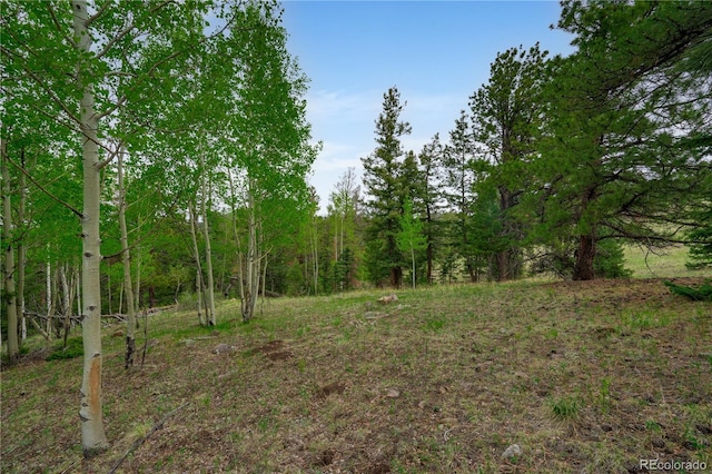 333 Stratton Cir, Cripple Creek, CO 80813