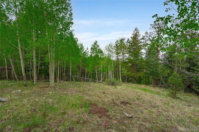 333 Stratton Cir, Cripple Creek, CO 80813