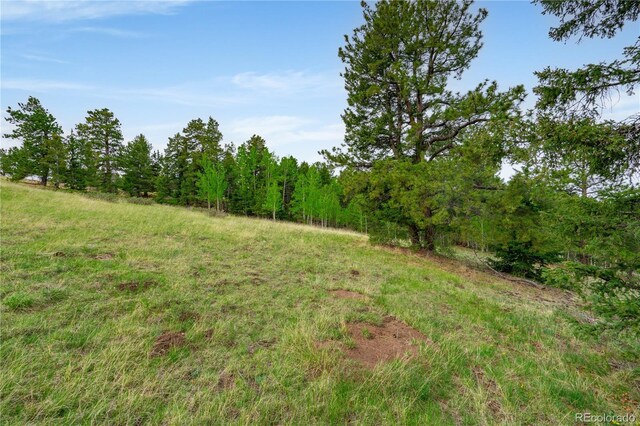 333 Stratton Cir, Cripple Creek, CO 80813