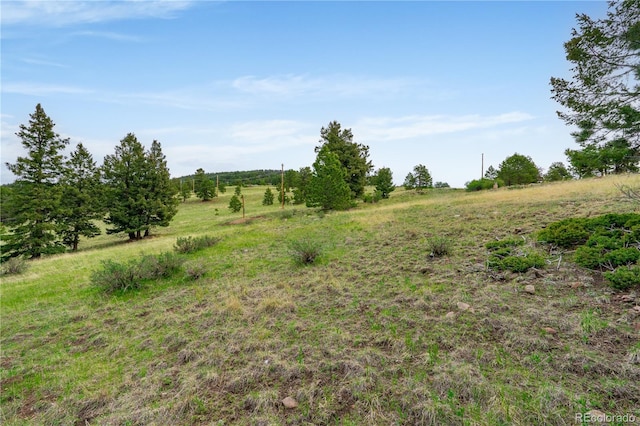 333 Stratton Cir, Cripple Creek, CO 80813