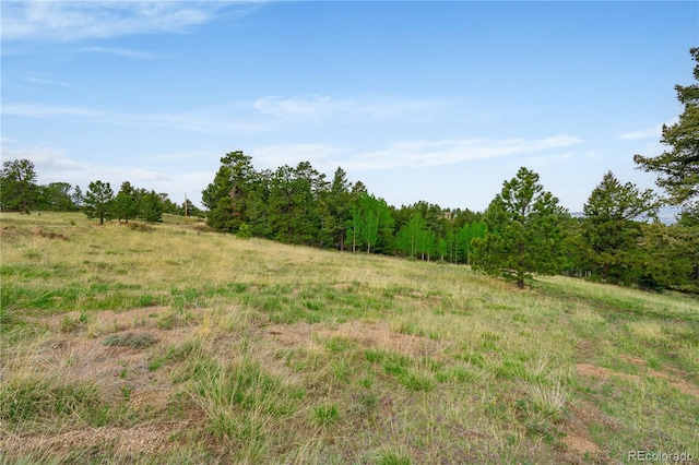 333 Stratton Cir, Cripple Creek, CO 80813