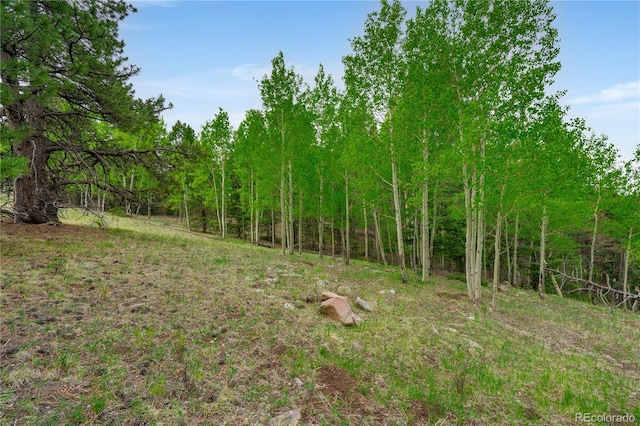 333 Stratton Cir, Cripple Creek, CO 80813