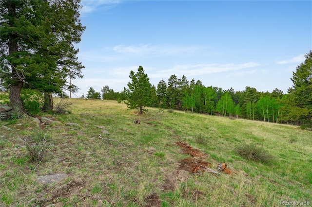 333 Stratton Cir, Cripple Creek, CO 80813