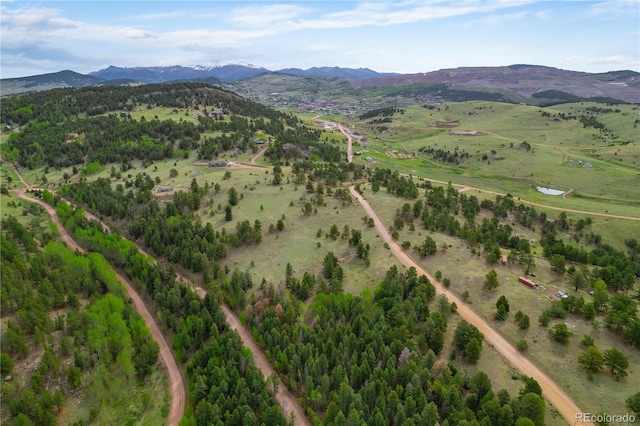 333 Stratton Cir, Cripple Creek, CO 80813