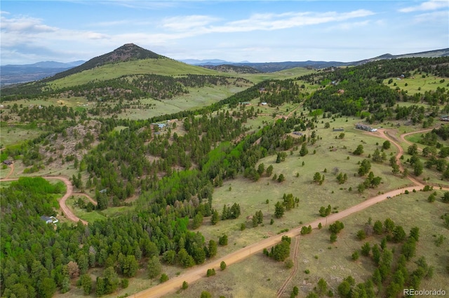 333 Stratton Cir, Cripple Creek, CO 80813