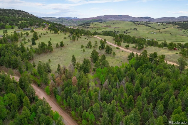 333 Stratton Cir, Cripple Creek, CO 80813