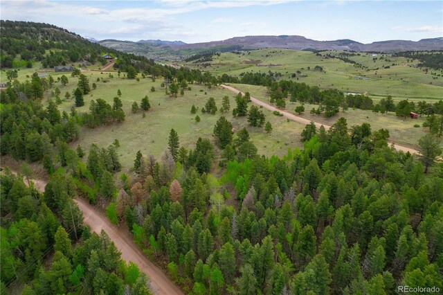 333 Stratton Cir, Cripple Creek, CO 80813 - photo 19