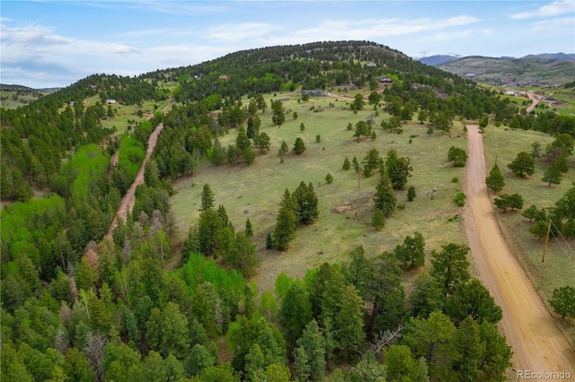 333 Stratton Cir, Cripple Creek, CO 80813