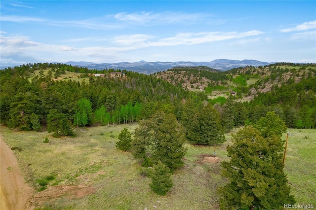 333 Stratton Cir, Cripple Creek, CO 80813