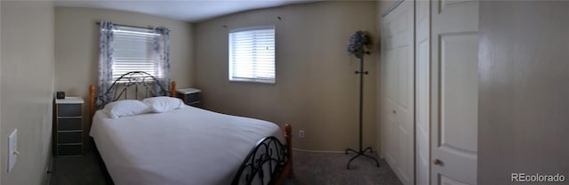 bedroom with a closet and dark colored carpet