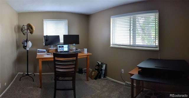 home office with carpet