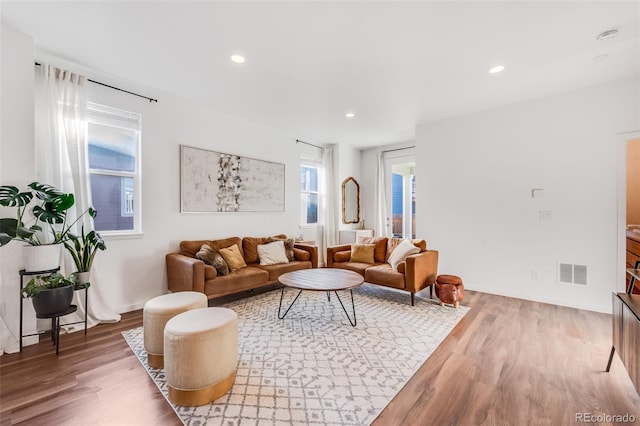 living room featuring hardwood / wood-style flooring