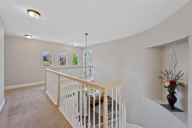 7056 S Owens St, Littleton, CO 80127 - hall with an upstairs landing, baseboards, and carpet