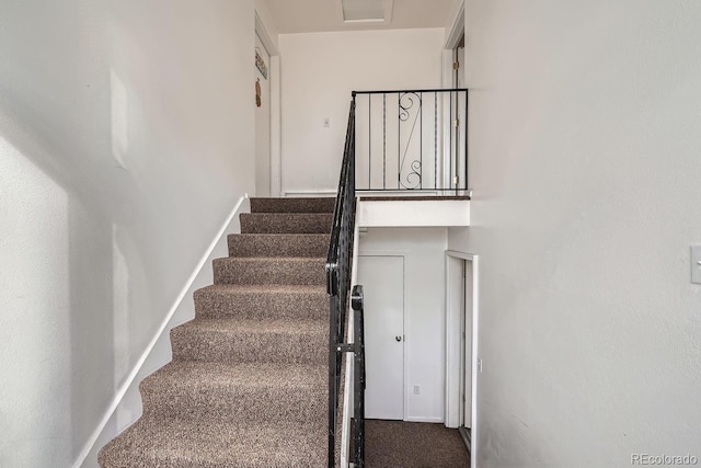 stairway with carpet floors