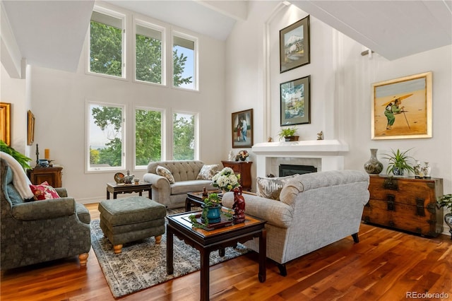 7330 Routt St, Arvada, CO 80005 - living room with wood finished floors, high vaulted ceiling, and a fireplace