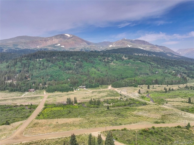 36 Coot Pl, Alma, CO 80440 - photo 13