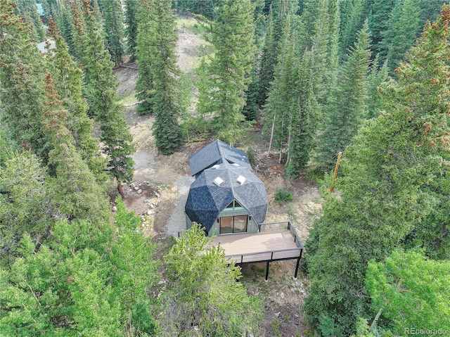 36 Coot Pl, Alma, CO 80440 - photo 22