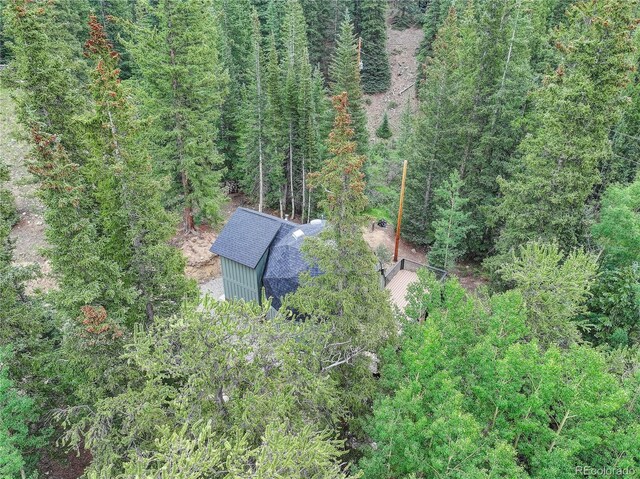 36 Coot Pl, Alma, CO 80440 - photo 23