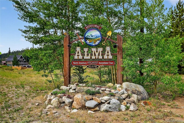 36 Coot Pl, Alma, CO 80440 - photo 24