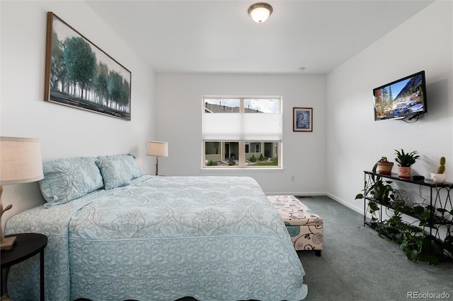 11823 Barrentine Loop, Parker, CO 80138 - carpeted bedroom with baseboards