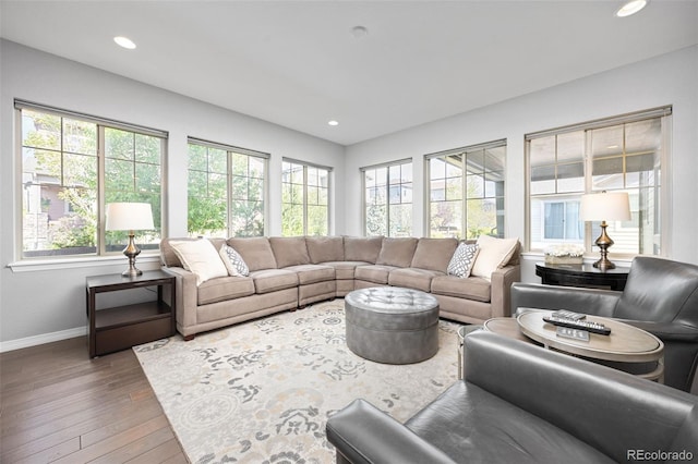 525 Grenville Cir, Erie, CO 80516 - living area featuring baseboards, wood-type flooring, and recessed lighting