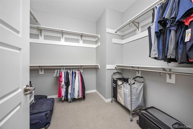 525 Grenville Cir, Erie, CO 80516 - walk in closet featuring carpet