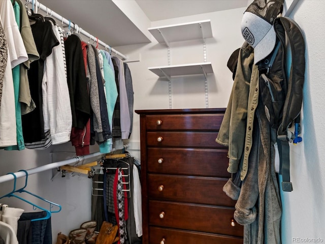 view of walk in closet