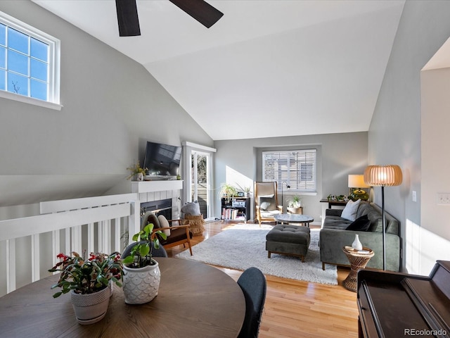 interior space with a fireplace, lofted ceiling, hardwood / wood-style flooring, and a healthy amount of sunlight