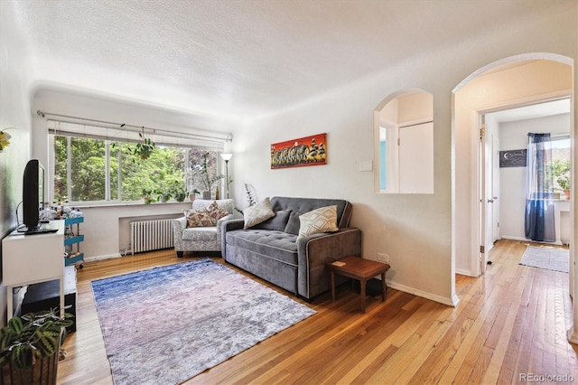 85 N Grant St Unit 28, Denver, CO 80203 - living room featuring radiator heating unit, light wood-style flooring, and baseboards
