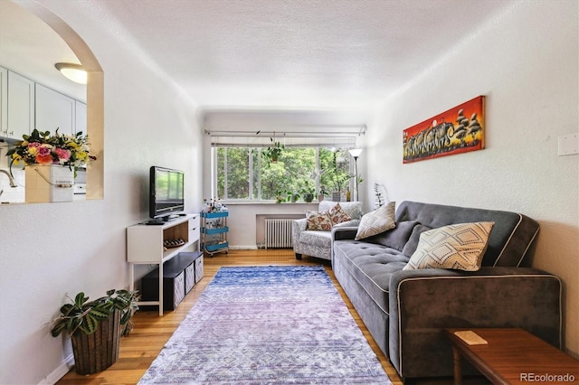 85 N Grant St Unit 28, Denver, CO 80203 - living room featuring radiator, light wood finished floors, baseboards, and arched walkways