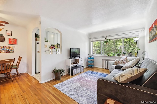 85 N Grant St Unit 28, Denver, CO 80203 - living room with light wood-type flooring, arched walkways, radiator heating unit, and baseboards