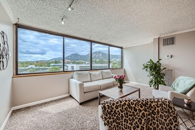 living room with a textured ceiling, a mountain view, rail lighting, and light carpet