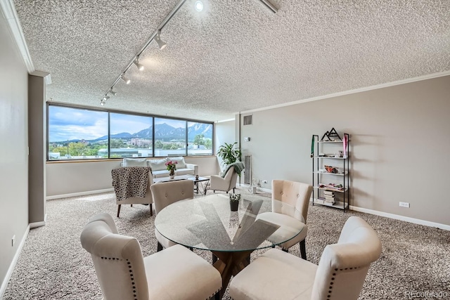 dining room featuring a textured ceiling, carpet floors, crown molding, and rail lighting