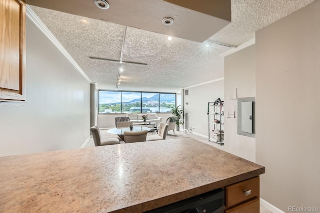 kitchen with rail lighting, a textured ceiling, and crown molding