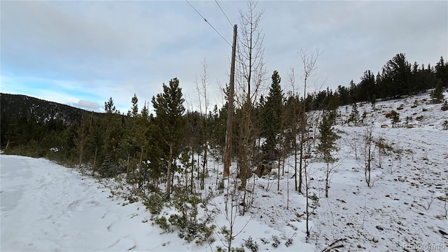 Listing photo 3 for Aspen Rd, Idaho Springs CO 80444