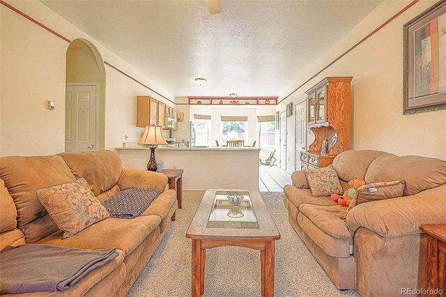 living room with a textured ceiling and light colored carpet