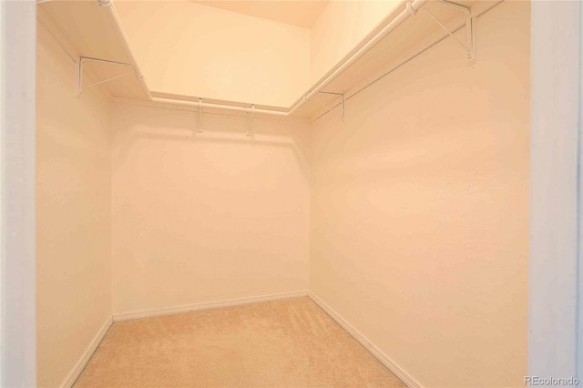 walk in closet with carpet