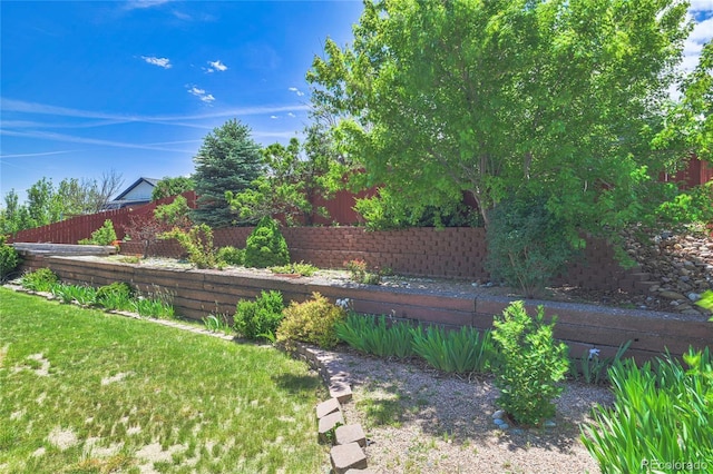 1508 Atchison Ave, Trinidad, CO 81082 - view of yard
