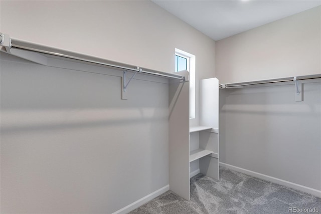 13398 E 99th Pl, Commerce City, CO 80022 - walk in closet featuring carpet flooring